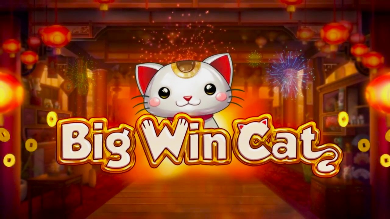 Big Win Cat Slot